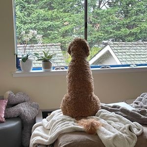 Meet your Posher, Susan